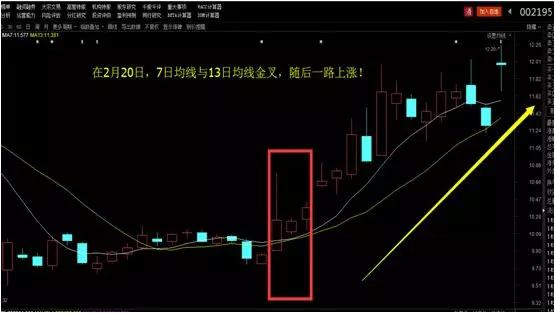 老鹰状元郎连续十场得分上双  